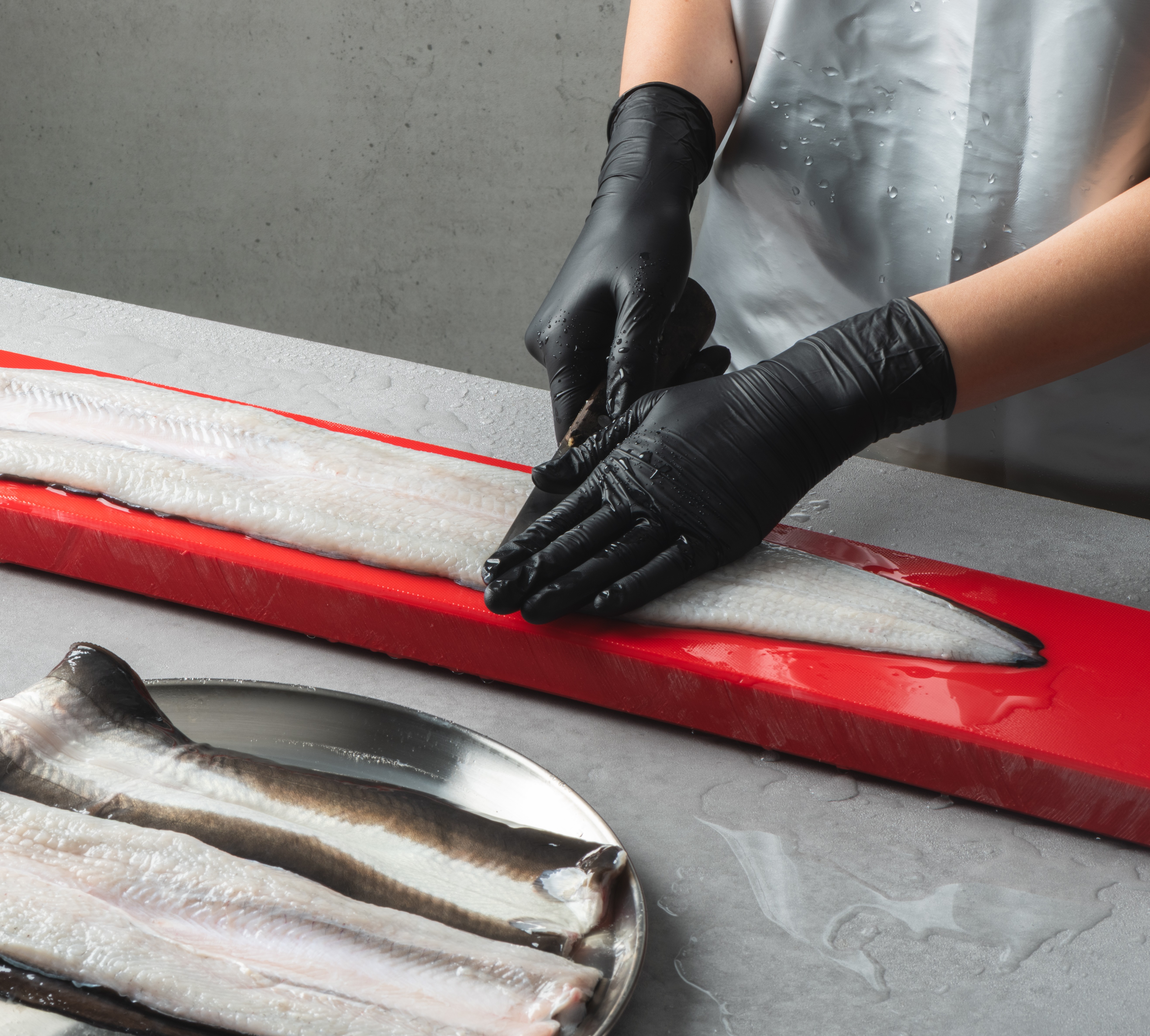 조선장어 국산 자포니카 민물장어 생물 3kg 손질 후 1950g 내외